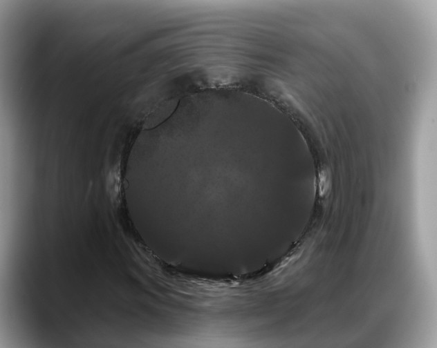 X0000088691011200706071515