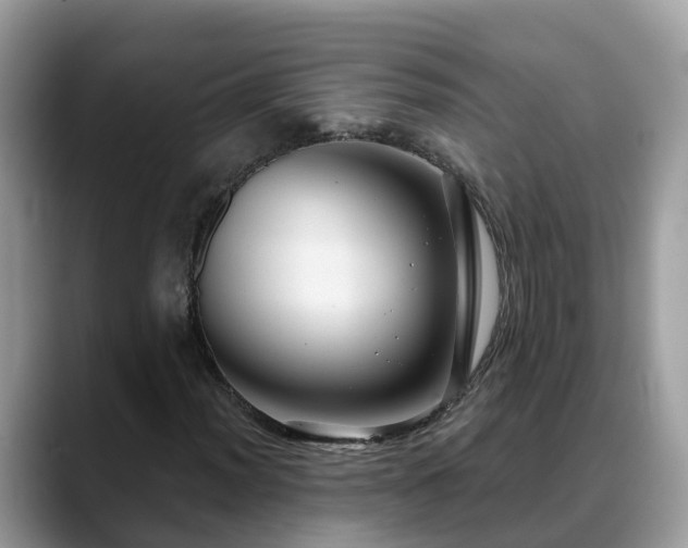 X0000088691012200706071515
