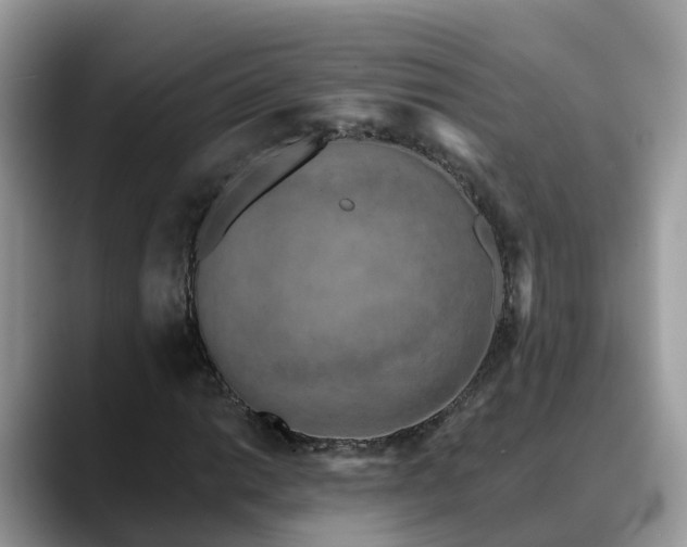 X0000088691014200706071515