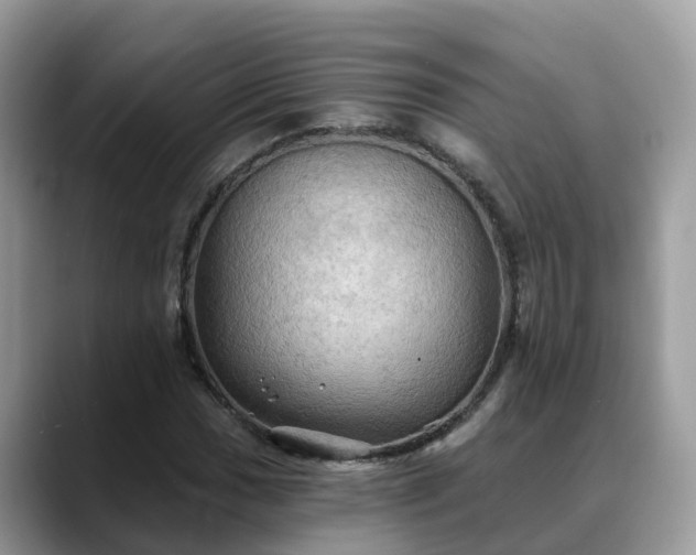 X0000088691017200706071515