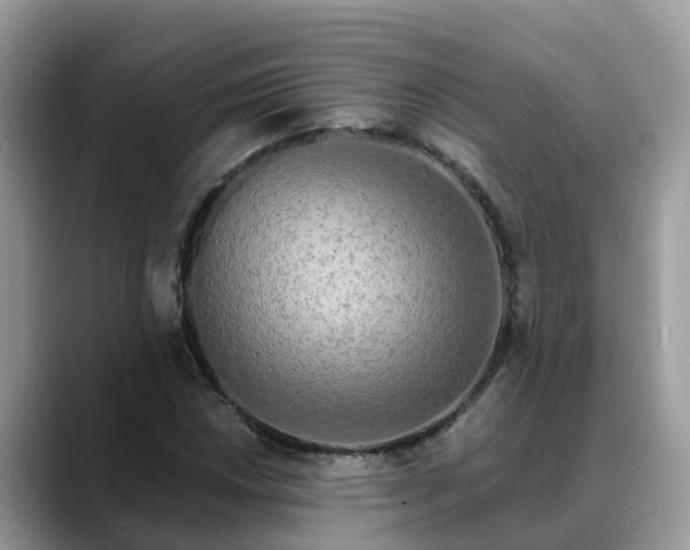 X0000088691018200706071515