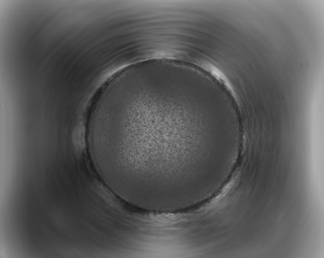 X0000088691019200706071515