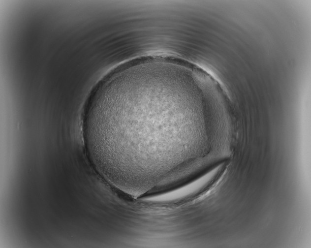 X0000088691022200706071515