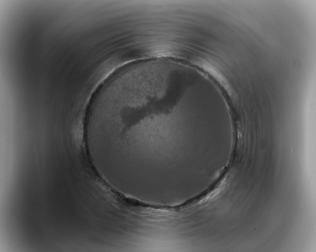 X0000088691023200706071515