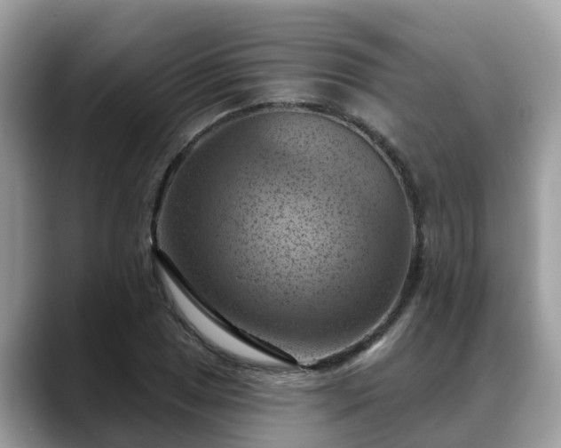 X0000088691025200706071515