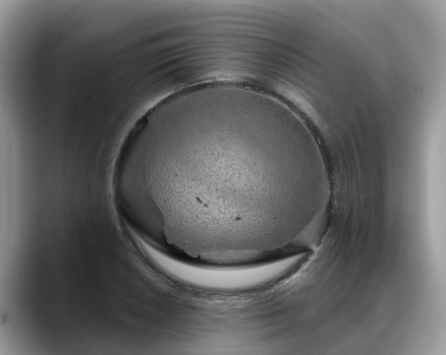X0000088691026200706071515