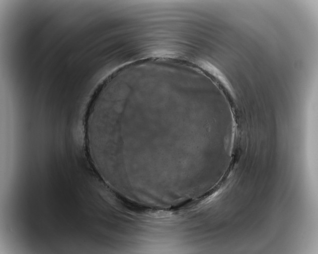 X0000088691027200706071515