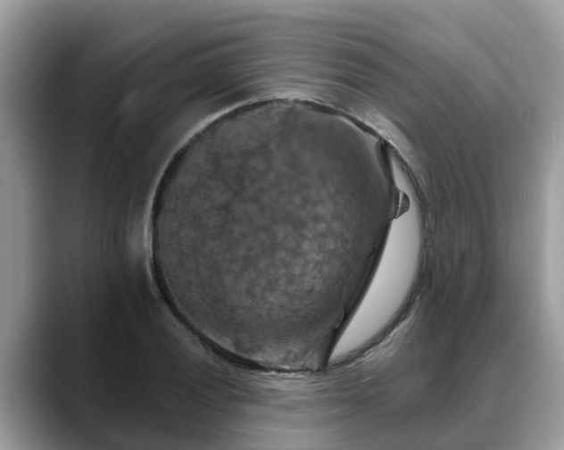 X0000088691028200706071515