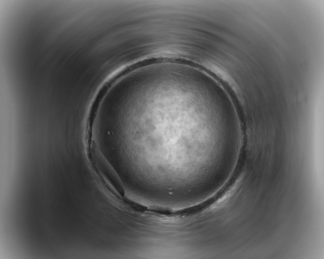 X0000088691029200706071515