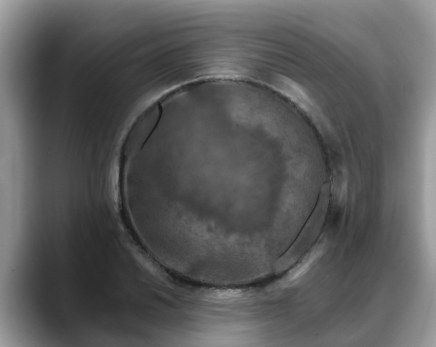X0000088691030200706071515