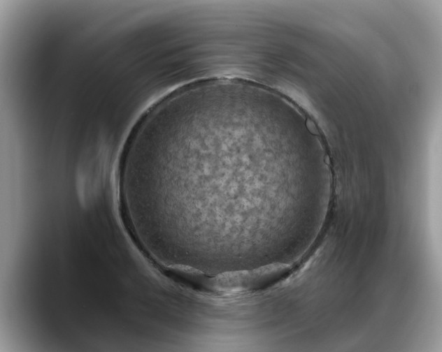 X0000088691032200706071515