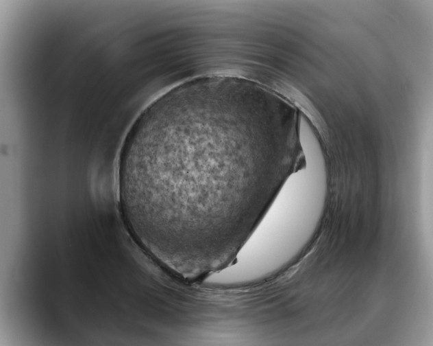 X0000088691036200706071515