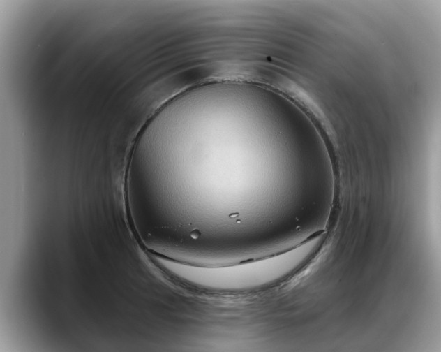 X0000088691041200706071516