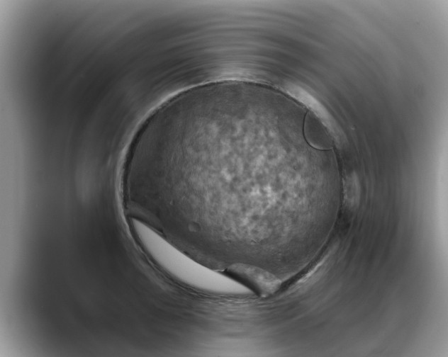 X0000088691043200706071516