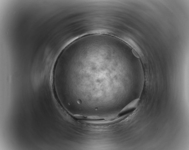 X0000088691044200706071516