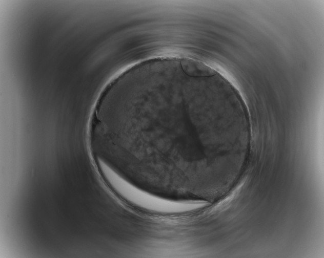 X0000088691045200706071516