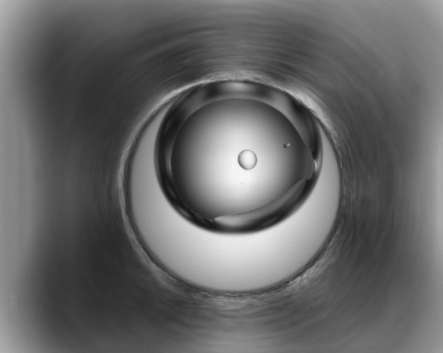 X0000088691046200706071516