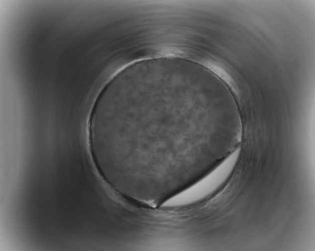 X0000088691047200706071516
