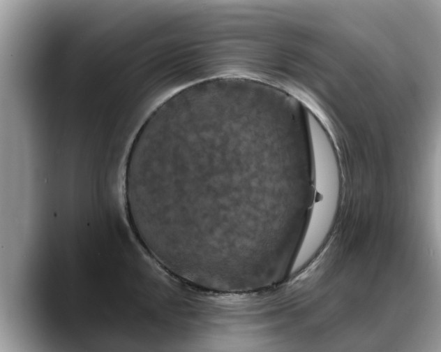 X0000088691048200706071516