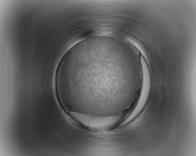 X0000088691050200706071516