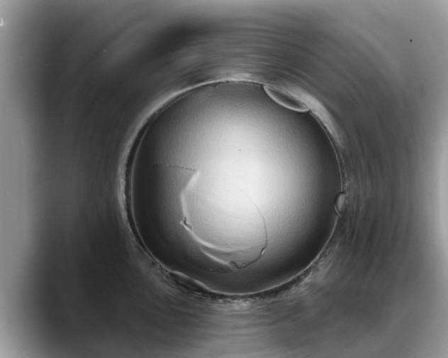 X0000088691051200706071516