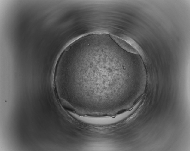 X0000088691052200706071516