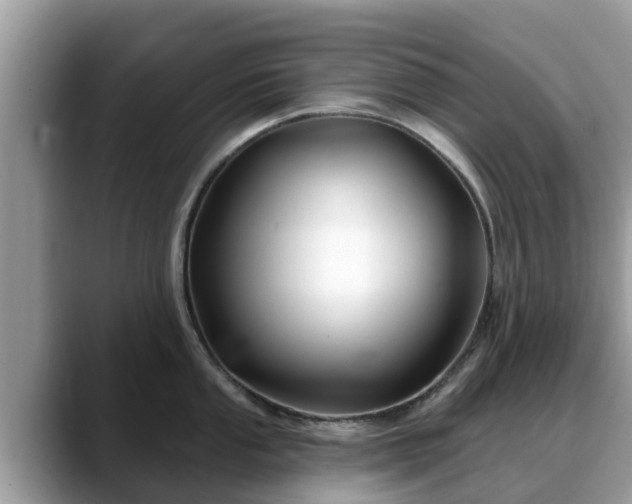 X0000088691053200706071516