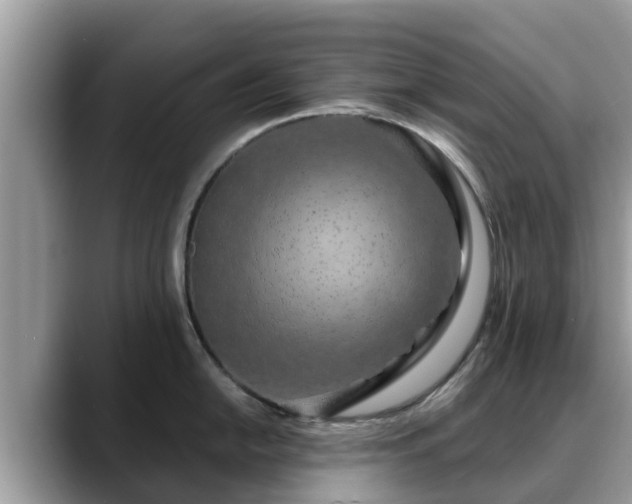 X0000088691054200706071516