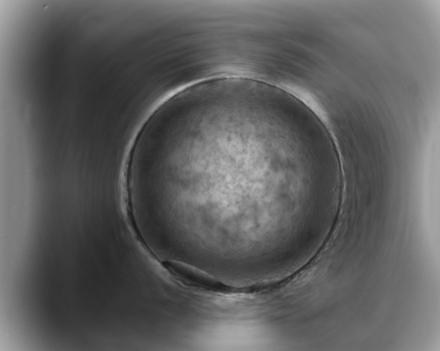 X0000088691056200706071516