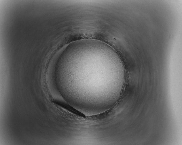 X0000088691057200706071515