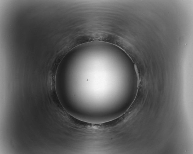 X0000088691058200706071515