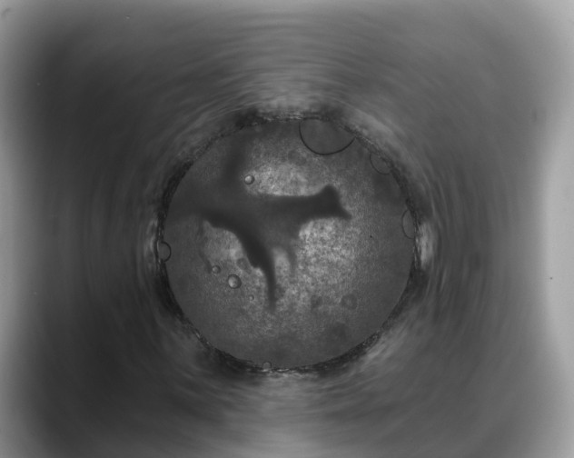 X0000088691059200706071515