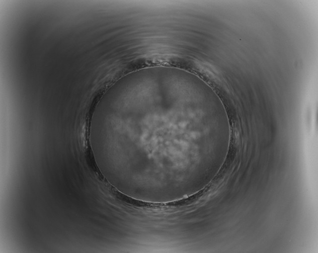 X0000088691060200706071515