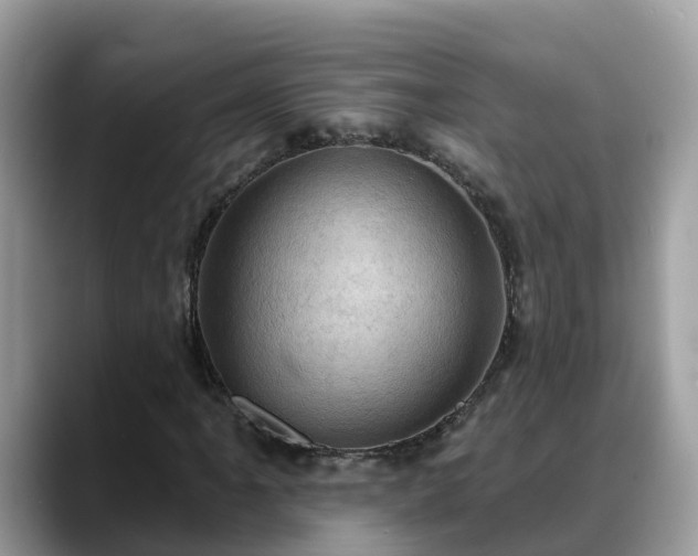 X0000088691061200706071515