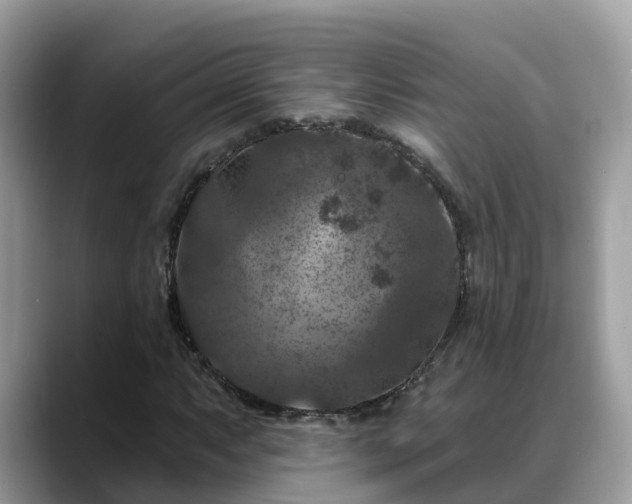 X0000088691063200706071515