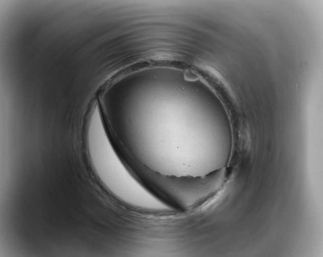 X0000088691065200706071515