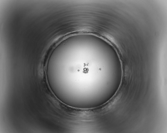 X0000088691067200706071515