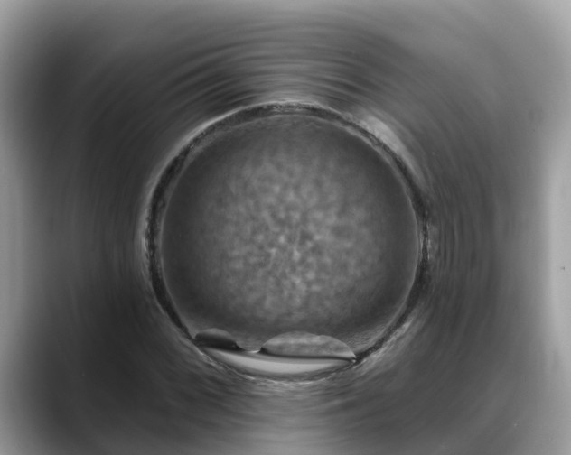 X0000088691068200706071515