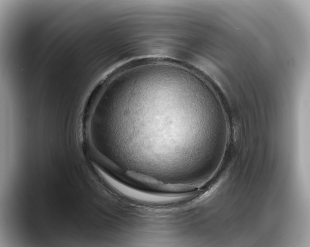 X0000088691069200706071515