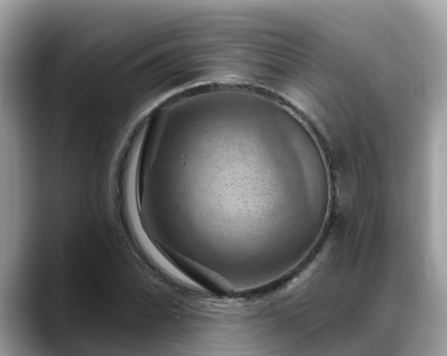 X0000088691070200706071515