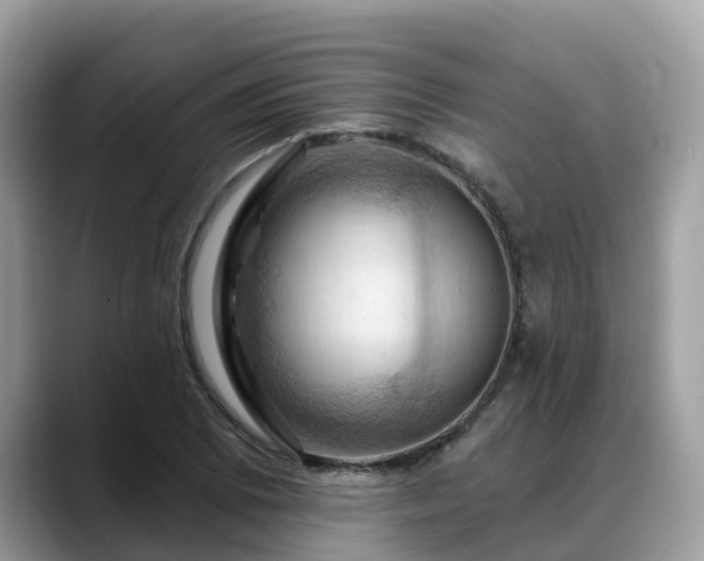 X0000088691073200706071515