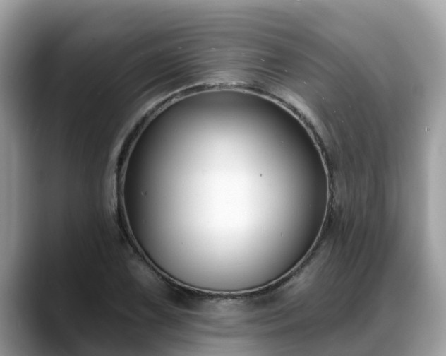 X0000088691075200706071515