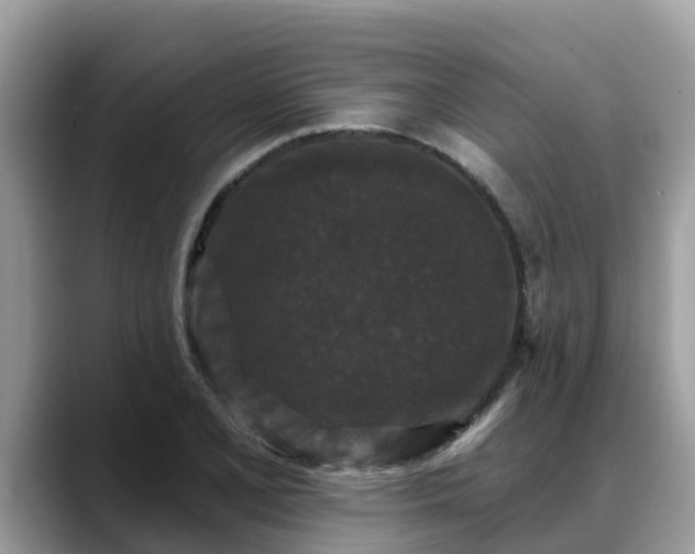 X0000088691077200706071515