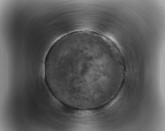 X0000088691079200706071515