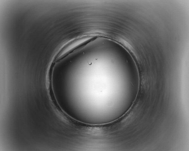 X0000088691082200706071515