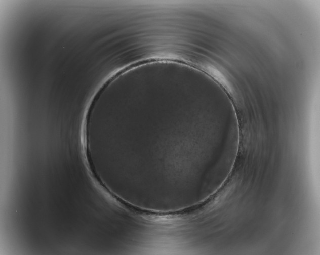 X0000088691084200706071515