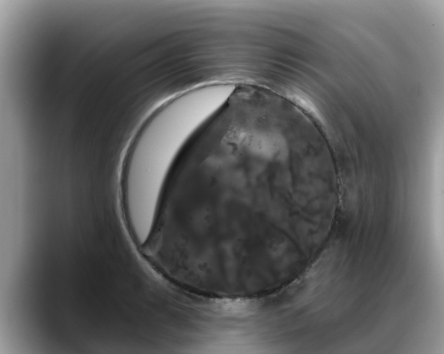 X0000088691087200706071515