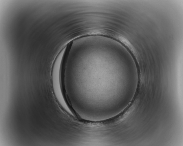 X0000088691089200706071515