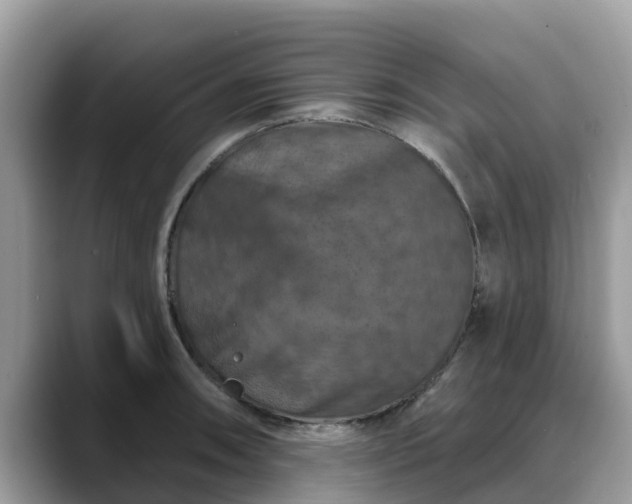 X0000088691090200706071515
