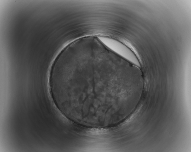 X0000088691091200706071515